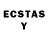 Ecstasy Philipp Plein Shirina Turgunova