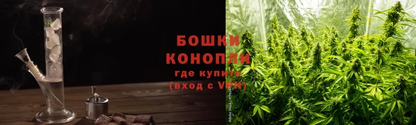 индика Красноперекопск