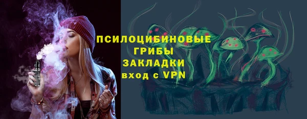 круглые Корсаков