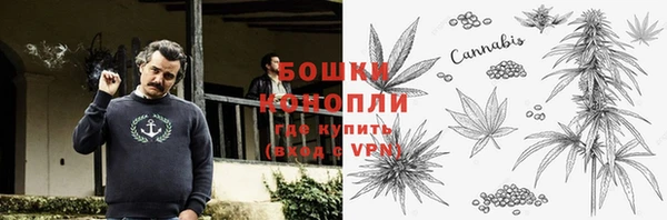 прущие грибы Куйбышев