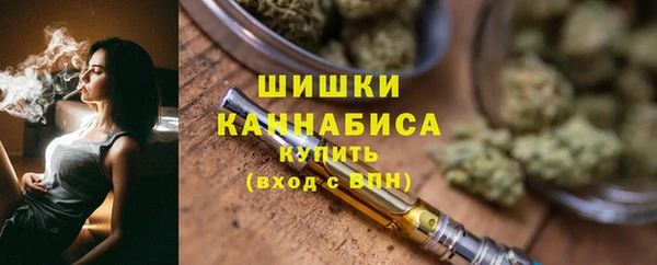 индика Красноперекопск