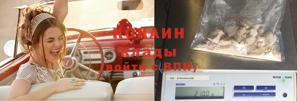 индика Красноперекопск