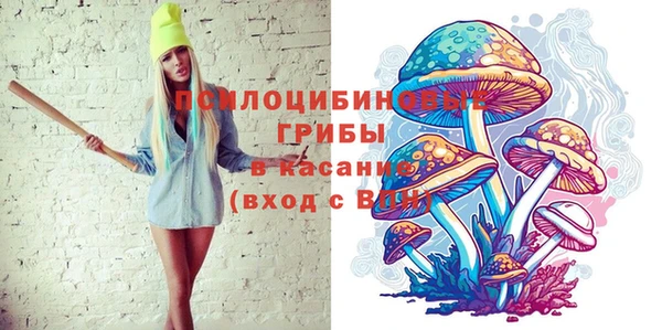 ПСИЛОЦИБИНОВЫЕ ГРИБЫ Алагир
