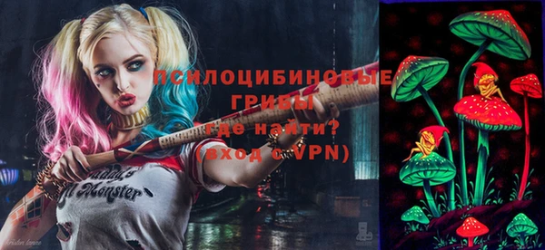 прущие грибы Куйбышев