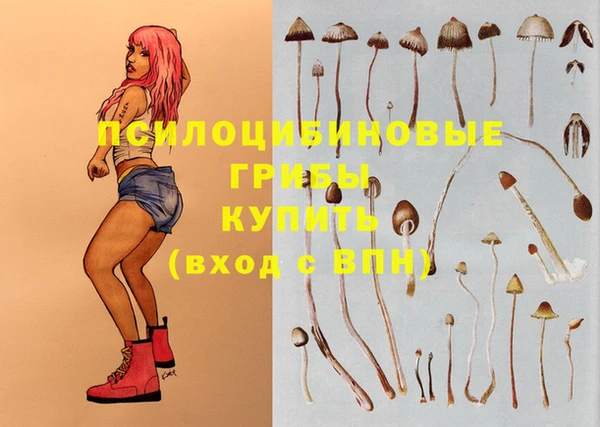 гидра Кукмор