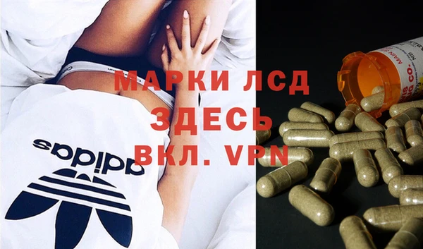 круглые Корсаков