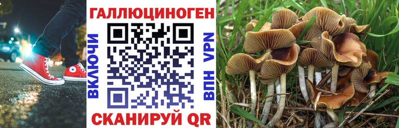 Псилоцибиновые грибы мухоморы  Купить где  Ипатово 